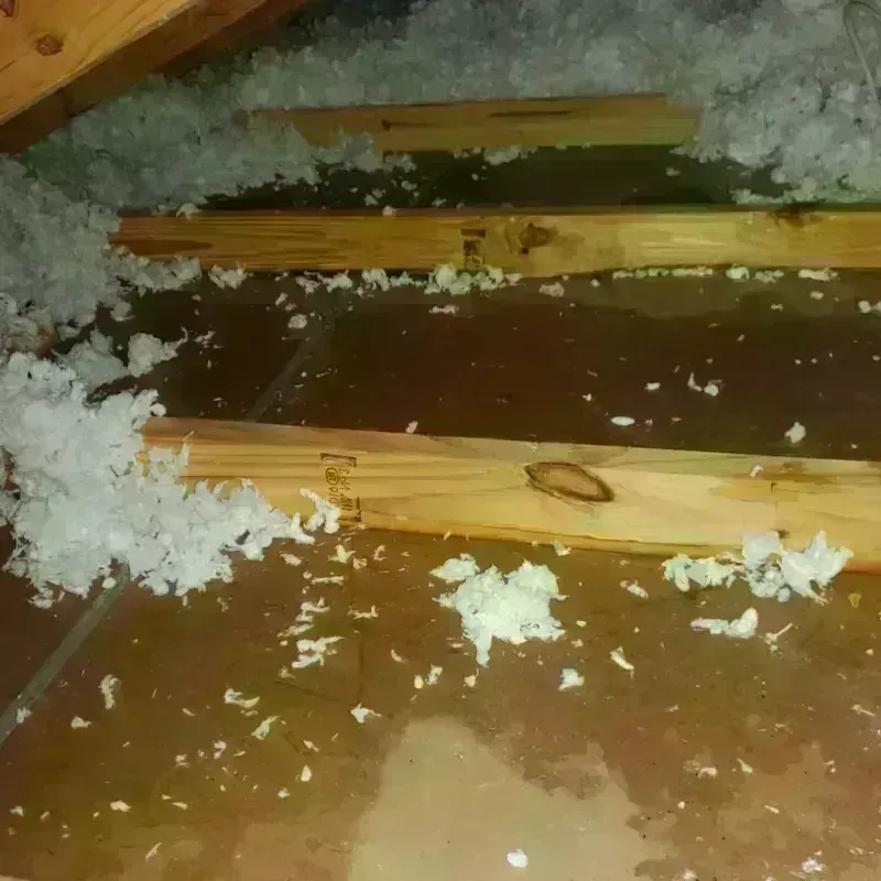 Attic Water Damage in Otero County, NM