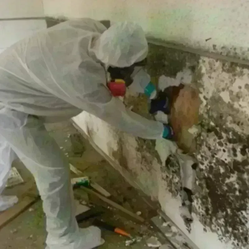 Mold Remediation and Removal in Otero County, NM