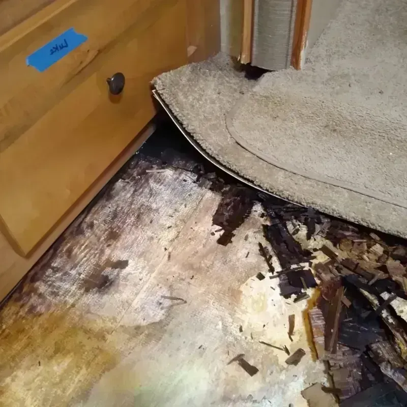 Best Wood Floor Water Damage Service in Otero County, NM